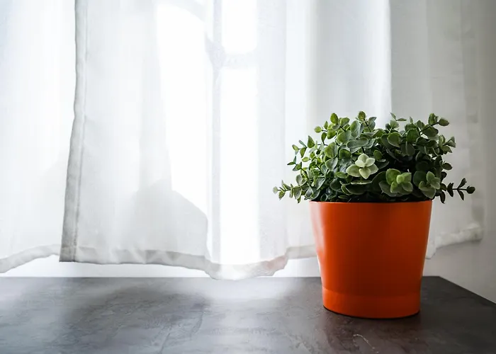 La Maisonette Del Crist0 * Sorbara